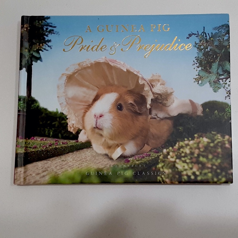 A GUINEA PIG Pride & Prejudice Book New Adorable